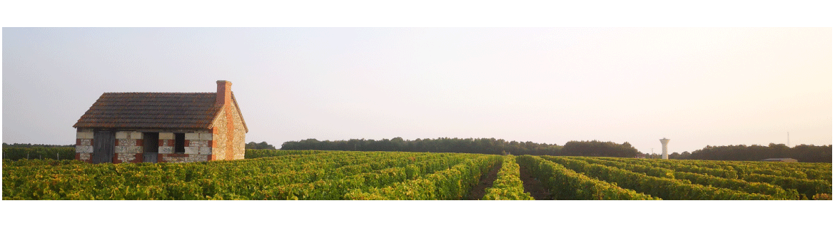 Collection Vigneronnes® - Friendly Frenchy