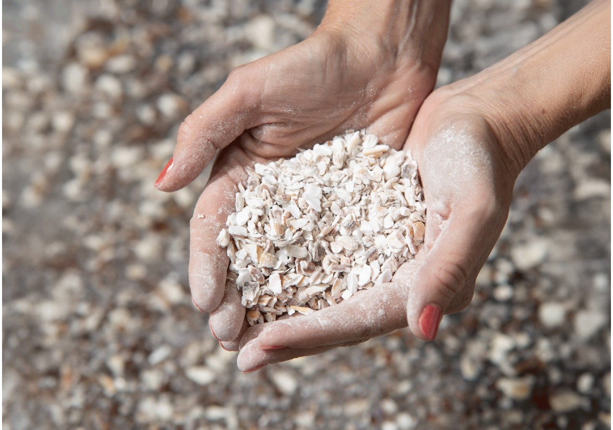 FRIENDLY FRENCHY - Searenn®, origines d'un matériau unique